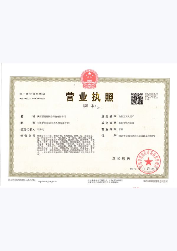 陕西新锐进企业营业执照